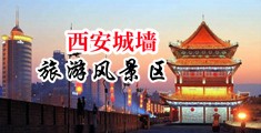 黑丝美女操爆中国陕西-西安城墙旅游风景区